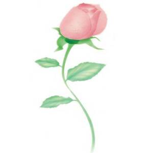 Stencil pro airbrush růže Martellato