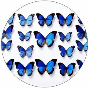 Jedlý papír modří motýli 19,5 cm - Pictu Hap