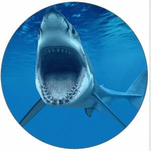 Jedlý papír žralok s otevřenou tlamou 19,5 cm - Pictu Hap