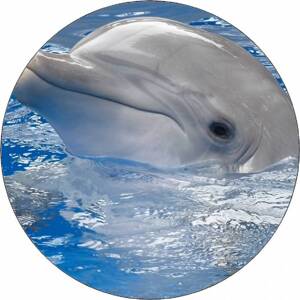 Jedlý papír delfín s hlavou nad hladinou 19,5 cm - Pictu Hap