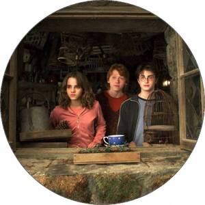 Jedlý papír Harry Potter, Hermiona a Ron v okně 19,5 cm - Pictu Hap