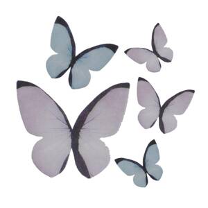 Motýlci z jedloho papíru 3-6cm 79ks - Dekora