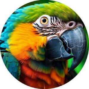 Jedlý papír papoušek 19,5cm PICTURE