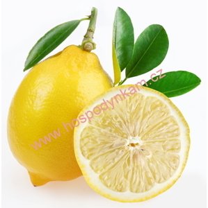 Ztužovač šlehačky Zeesan citron 125g