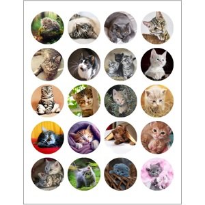 Jedlý papír kočičky (mini obrázky)