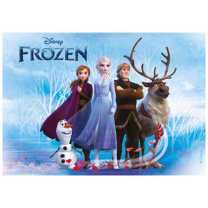 Fondánový obrázek Frozen 15x21cm