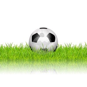 Jedlý papír "Fotbalový míč na trávě 34" A4