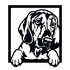 Obraz na zeď - Bloodhound