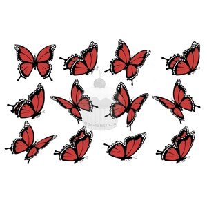"Motýli červené 12ks" - A4