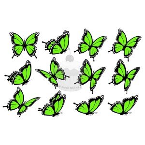 "Motýli zelené 12ks" - A4
