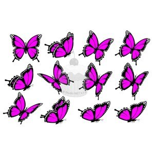 "Motýli růžové 12ks" - A4