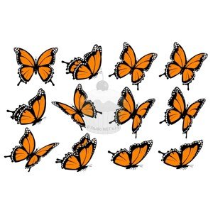 "Motýli oranžové 12ks" - A4
