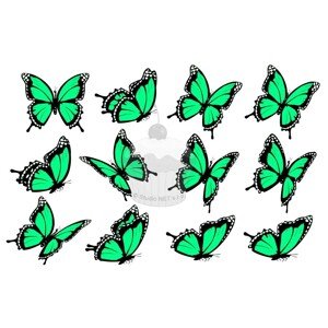 "Motýli mint 12ks" - A4