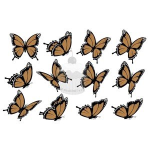 "Motýli hnědí 12ks" - A4