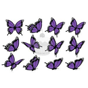 "Motýli purple II. 12ks" - A4