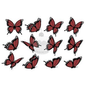 "Motýli hnědí II. 12ks" - A4