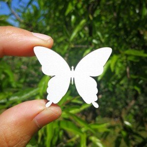 Motýlek - 4cm/10ks